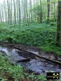 Lochborner Bergwerksteich bei Bieber im Nordspessart, Hessen, (D) (8) 31. Mai 2014 Zufluss.JPG